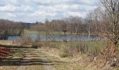 Tour Wandern Libramont-Chevigny - Bras bas 190321 - Photo 3