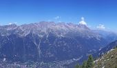 Percorso A piedi Chamonix-Mont-Blanc - Plan de I'Aiguille - Montenvers - Photo 7