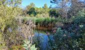 Trail Walking Roquebrune-sur-Argens - La Bouverie - Photo 1