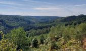 Tour Wandern Bertrix - Auby sur Semois 020922 - Photo 8