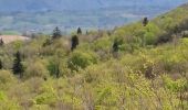 Tour Wandern Saint-Pierre-d'Alvey - Mont Tournier pierre vire-28-04-23 - Photo 10