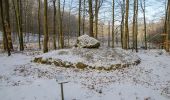 Tour Zu Fuß Glücksburg - Dolmenpfad - Photo 3