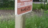 Randonnée A pied Hellendoorn - WNW Twente - Hankate-Egede/West-Dammarkte - paarse route - Photo 1