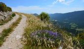 Trail Walking Saint-Auban - Les Lattes - Chauvet - Pensiers Occidental et Oriental - Photo 3