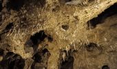 Randonnée Autre activité Dinant - grotte la merveilleuse  - Photo 8