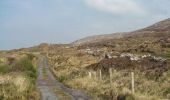 Tour Zu Fuß West Cork - Peakeen Ridge Loop Walk - Photo 2