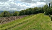 Tour Wandern Château-Thierry - Les Vignes Castelles trace du 28-04-2024 - Photo 10