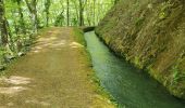 Trail Walking Valbonnais - le canal du Beaumont  ,les verneys - Photo 3