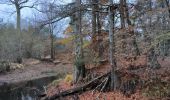 Tocht Stappen Fontainebleau - maison forestière Bois le roi 1er décembre 2023 - Photo 7