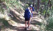 Trail Walking Colmars - col de l'encombrette pas de L'Echellette - Photo 4