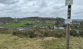 Tour Wandern Viroinval - Nismes parcours géologique ouest 10,8 km - Photo 14