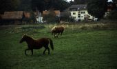 Tour Zu Fuß Rheinsberg - Geheimnisvolle Moore - Photo 3