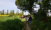 Trail Walking Rambouillet - 2022-05-01_ EtangCoupeGorge_EtangsDeHollande - Photo 3