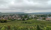 Tour Wandern Crouttes-sur-Marne - Crouttes-sur-Marne du 26-09-2021 - Photo 1