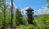 Tocht Stappen Stoumont - rando la gleize 20/05/2021 - Photo 5