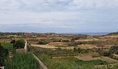 Tocht Stappen Ta' Kerċem - MALTE 2024 / 02 : CLIFFS WEST GOZO - Photo 3