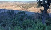 Trail Walking Les Arcs-sur-Argens - La colline de Cabredor les Arcs sur Argens, 17-01-2025 - Photo 1