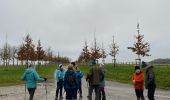 Trail Walking Ciney - Ychippe - Photo 3