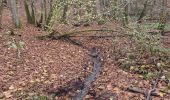 Percorso Marcia Somme-Leuze - Baillonville-Waillet-Les Vennes - Photo 6