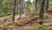 Tocht Stappen Fontainebleau - Forêt de Fontainebleau  - Photo 2