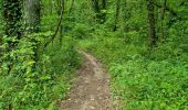 Trail Walking Cheptainville - Forêt Régionale de Cheptainville  - Photo 5