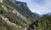 Randonnée Marche Châteauroux-les-Alpes - la cascade de la Pisse  - Photo 7