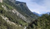 Percorso Marcia Châteauroux-les-Alpes - la cascade de la Pisse  - Photo 7