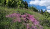 Tour Wandern Lans-en-Vercors - la molière 2020 - Photo 1