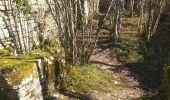 Trail Walking Avanne-Aveney - chateau Montferrand  - Photo 3