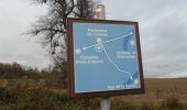 Trail Walking Oissel - 20231128-les essarts cool - Photo 2