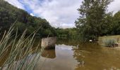 Randonnée Marche Clamart - Tour des etangs - Bois de Clamart et de Meudon - Photo 15