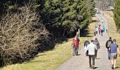 Excursión Senderismo Saint-Hubert - Marche ADEPS 11km à  Saint-Hubert - Photo 2