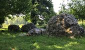 Excursión Senderismo Médréac - 21.05.2019 - MEDREAC et LE NEAL - Photo 2