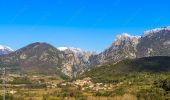 Trail Walking Mons - Le Caroux Gorges d'Héric  - Photo 3