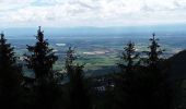 Tour Wandern Ottrott - mont st odile - Photo 4