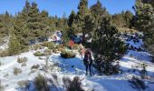 Excursión Raquetas de nieve Matemale - LA QUILLANE FAIT petit circuit - Photo 2