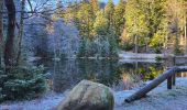 Tour Wandern Vorbruck - Etang du Coucou - Château de Salm - Chatte pendue - Haute Loge - Chapelle Bipierre - Photo 1