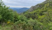Trail Walking Saint-Julien - Le tour des jasses : Bourdils Chavardes Landres Bramefan - Photo 20