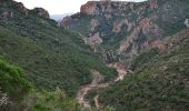 Tocht Stappen Saint-Raphaël - Pk Belle Barbe - MF Charretiers - Pont des Cantines - Col du Perthus - Photo 12