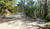 Trail Walking Saou - La Grande Combe en Forêt de Saoû - Photo 11