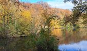 Trail Walking Viroflay - T-Chaville-Meudon - Photo 19