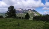 Randonnée Marche Untertauern - Ober - Photo 16