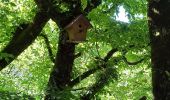 Trail Walking Goldbach-Altenbach - goldbach - Photo 12