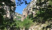 Trail Walking Aiguines - Gorges du Verdon - Sentier de l'Imbut - Photo 11