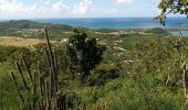 Percorso Marcia Sainte-Anne - Piton Creve-Coeur - Photo 2