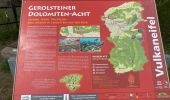 Randonnée Marche Pelm - Dolomites de Gerolstein (Eifel) - Photo 11