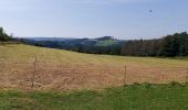 Tour Wandern Nassogne - Nassogne 070921 - Photo 1