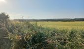 Tour Wandern Saint-Pierre-lès-Elbeuf - st pierre les elbeuf et martot 2 - Photo 1