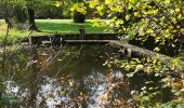 Trail Walking Hamoir - filot - Photo 18
