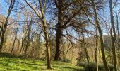 Trail Walking Saint-Jean-sur-Mayenne - Château de la Merveile - Photo 11